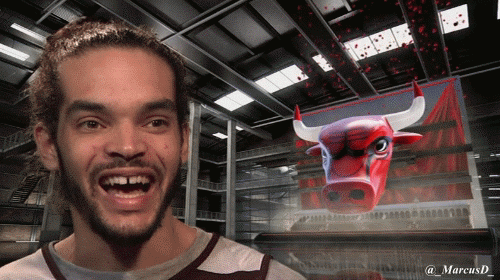 noah1.gif