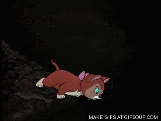 3977220474.gif