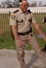 6257.gif