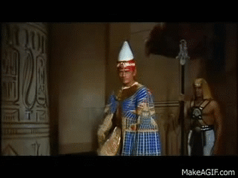RAMSES.gif
