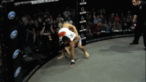 2rzz8xw.gif