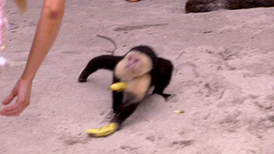 tumblr_n7qhjfWqDP1r6s10yo1_400.gif