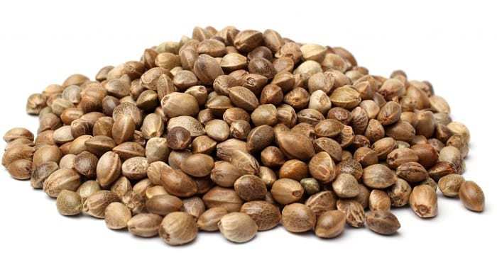 21-hemp-seeds.jpg