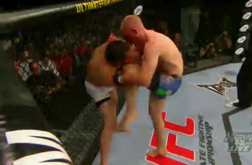 kampmann.gif