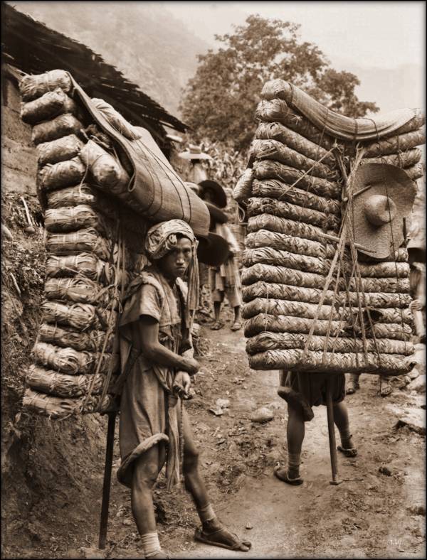 men-laden-with-tea.jpg