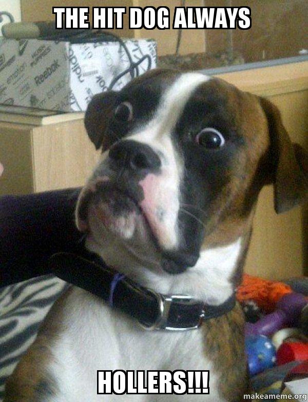 hit-dog.jpg