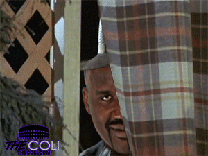 ZMuC.gif