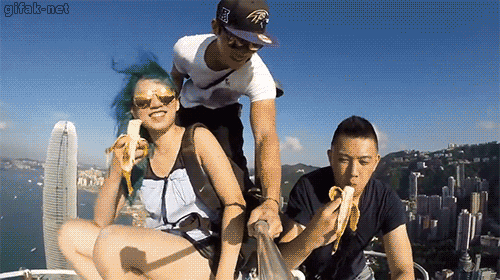 tumblr_navixs8csT1t4o62mo1_500.gif