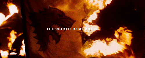 tumblr_o7p9q8gTeK1r00543o2_r1_500.gif