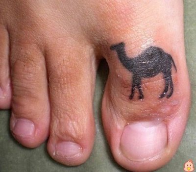 cameltoe.jpg