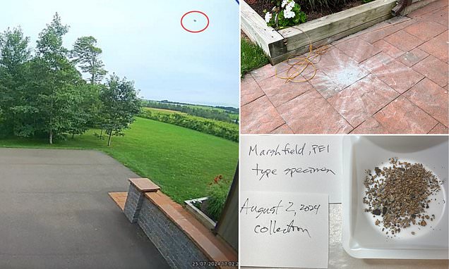 www.dailymail.co.uk
