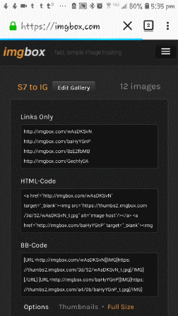 giphy.gif