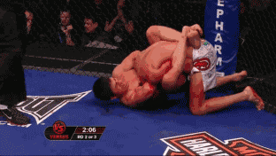 tumblr_mqh1i16u0b1ry1rm7o2_400.gif