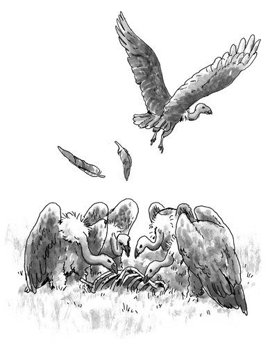 0314OPEDkerlow-popup.jpg