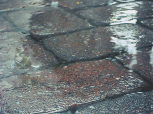 tumblr_m9pl8dEpuj1r1qxmro1_500.gif