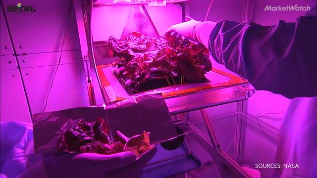 06262017_mw_nasa_640x360.jpg