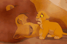 lion-king-wake-up.gif