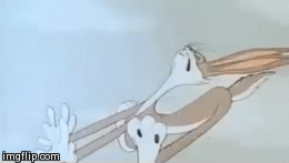 bnfzw.gif