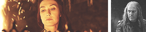 tumblr_mn35ouZyQP1qm8elfo3_r2_500.gif