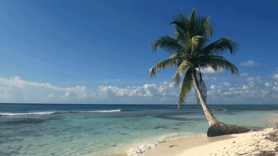 d2e433a119194661db9909a4162bcd36.gif