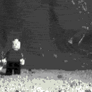idiot.gif