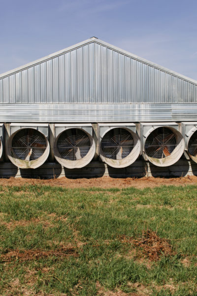 20190626-carlton-farm-inline.jpg