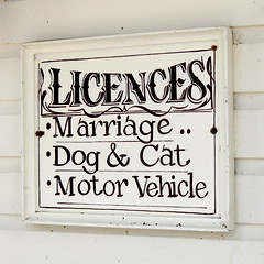2471444662_055d8da92d_m.jpg