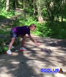 1.gif