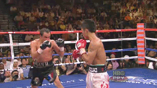 hayemakerpac.gif