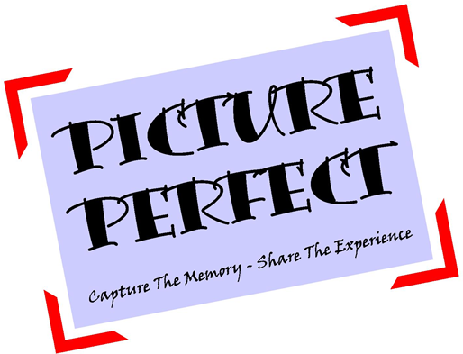picture_20perfect_20logo.png