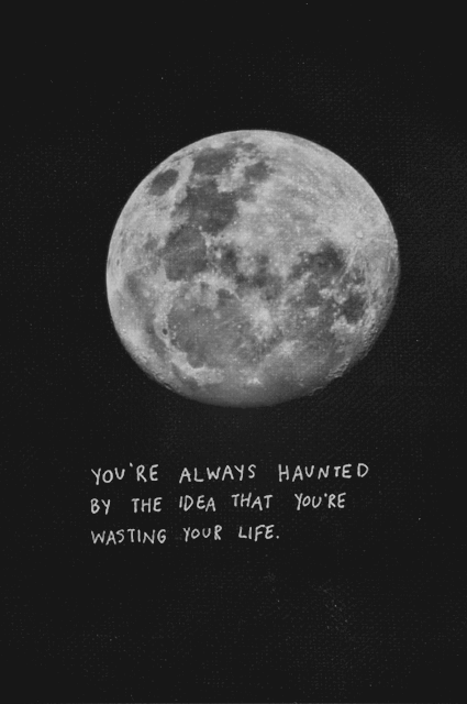 tumblr_mp9wzu1DlT1qe5o87o1_500.gif