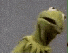 tumblr_pe5j1oKvP01u1wvff_540.gif