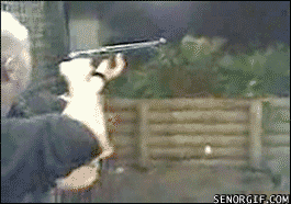 8Bm2.gif