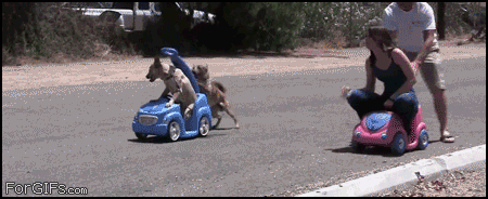 70434b294cb336f19f23b81f92659bc0.gif