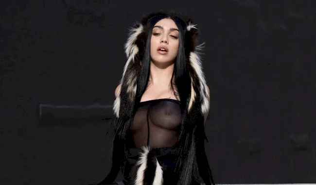www.thenipslip.com