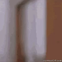 tenor.gif
