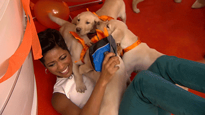 tamron-hall-version-of-the-puppy-bowl.gif