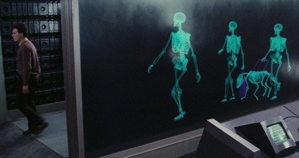 xray.jpg
