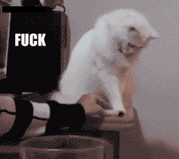 tumblr_ml8co9QZ341qbumrto1_400.gif