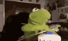 kermit-excited.gif