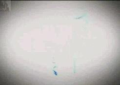 andressa-playboy-4.gif