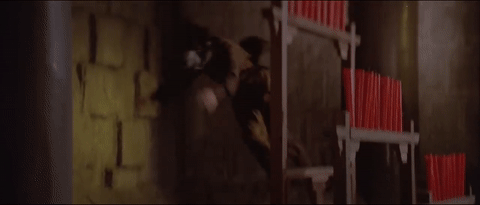 tumblr_p7dt479gcj1v6w3juo4_500.gif