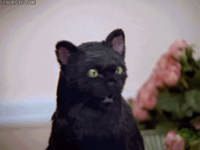 Et75U5-AQEOVbQhjWCxDlw2.gif