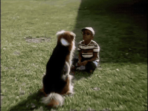 dolittle.gif
