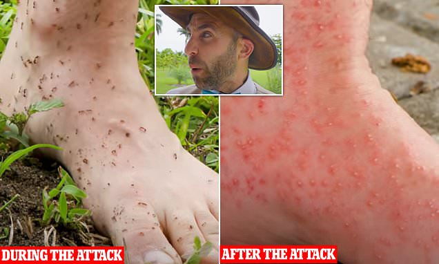 www.dailymail.co.uk