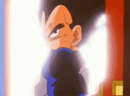vegeta-time-chamber.gif