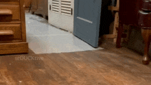 duck-run-duck.gif
