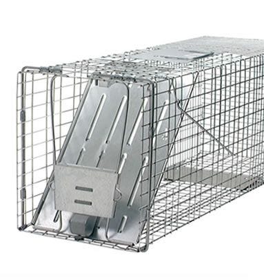 hh-us-lc-raccoon-trap-1.jpg