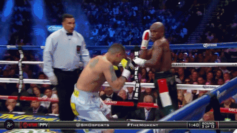 polls-who-will-win-mayweather-vs-pacquiao-3.gif