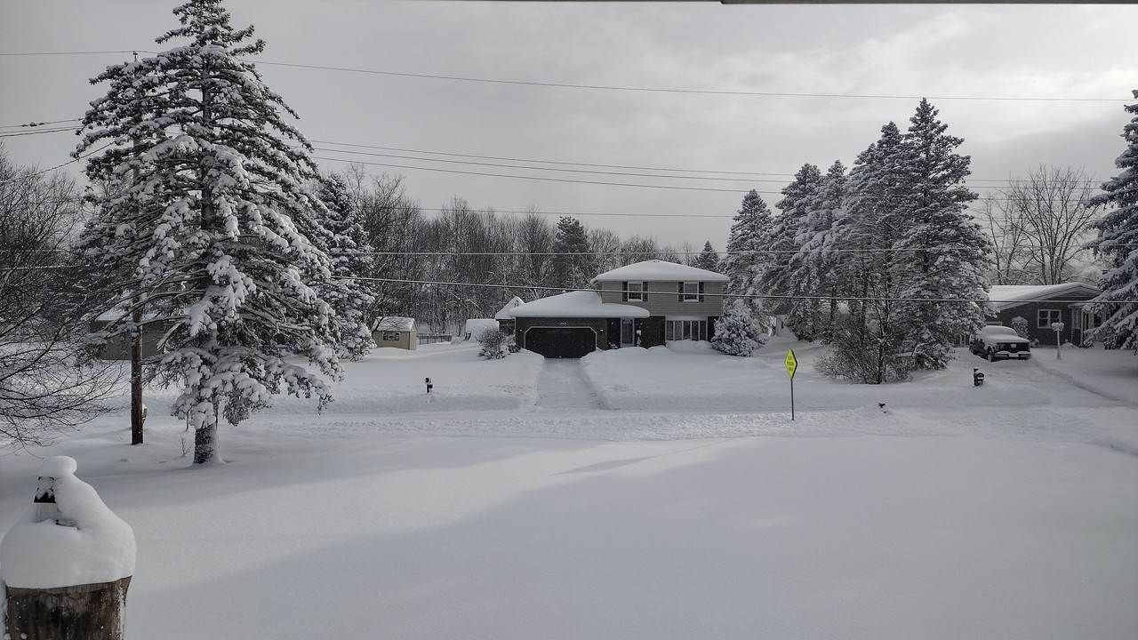 IMG-20240115-093144279-HDR.jpg